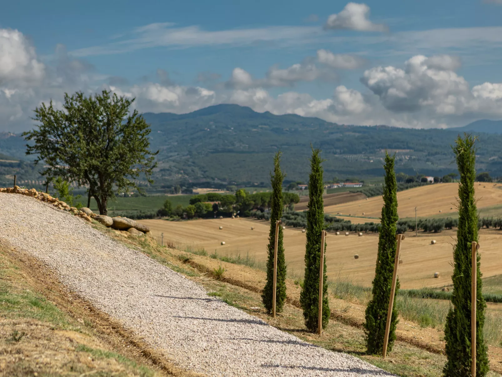 Poggio Piero 1-Draußen