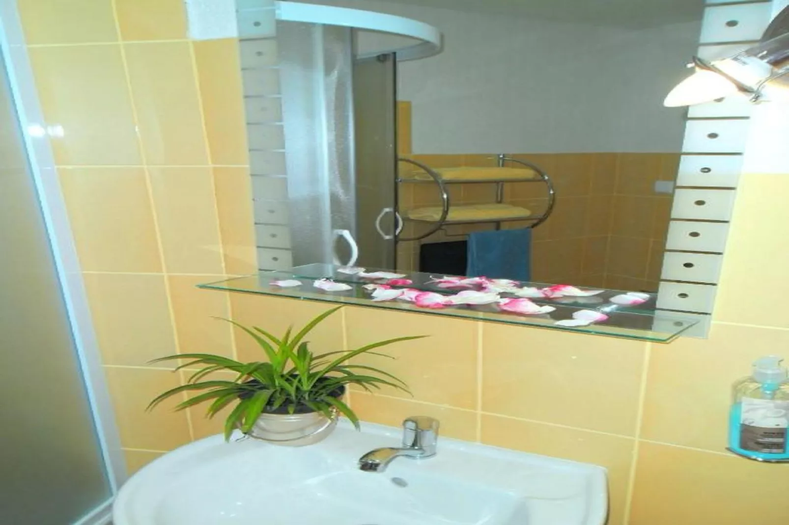 Charming Apartments Kestenovi Dvori - Studio Apartment (A6)-Salle de bain
