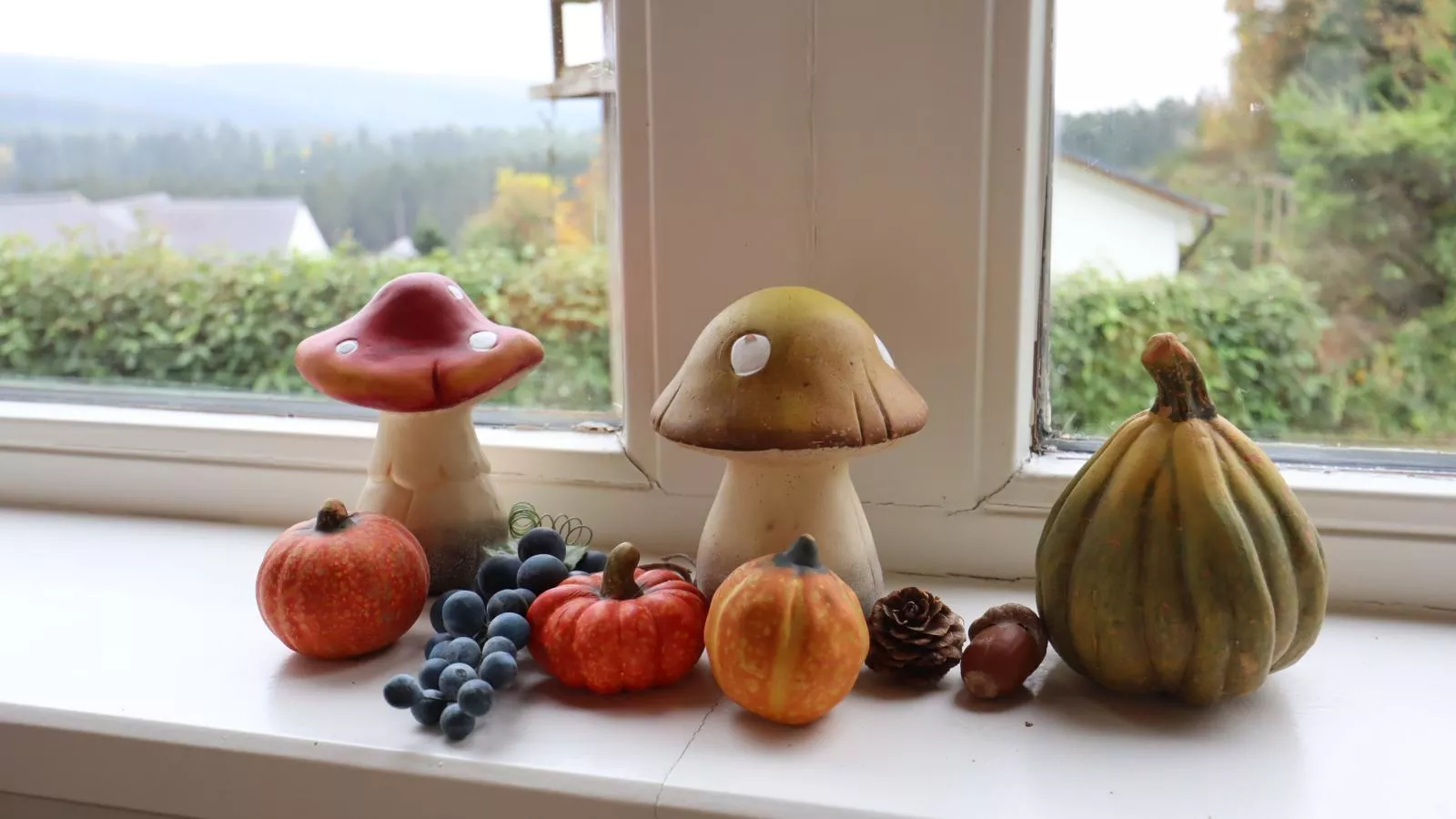 Coeur de Biche-Ambiance