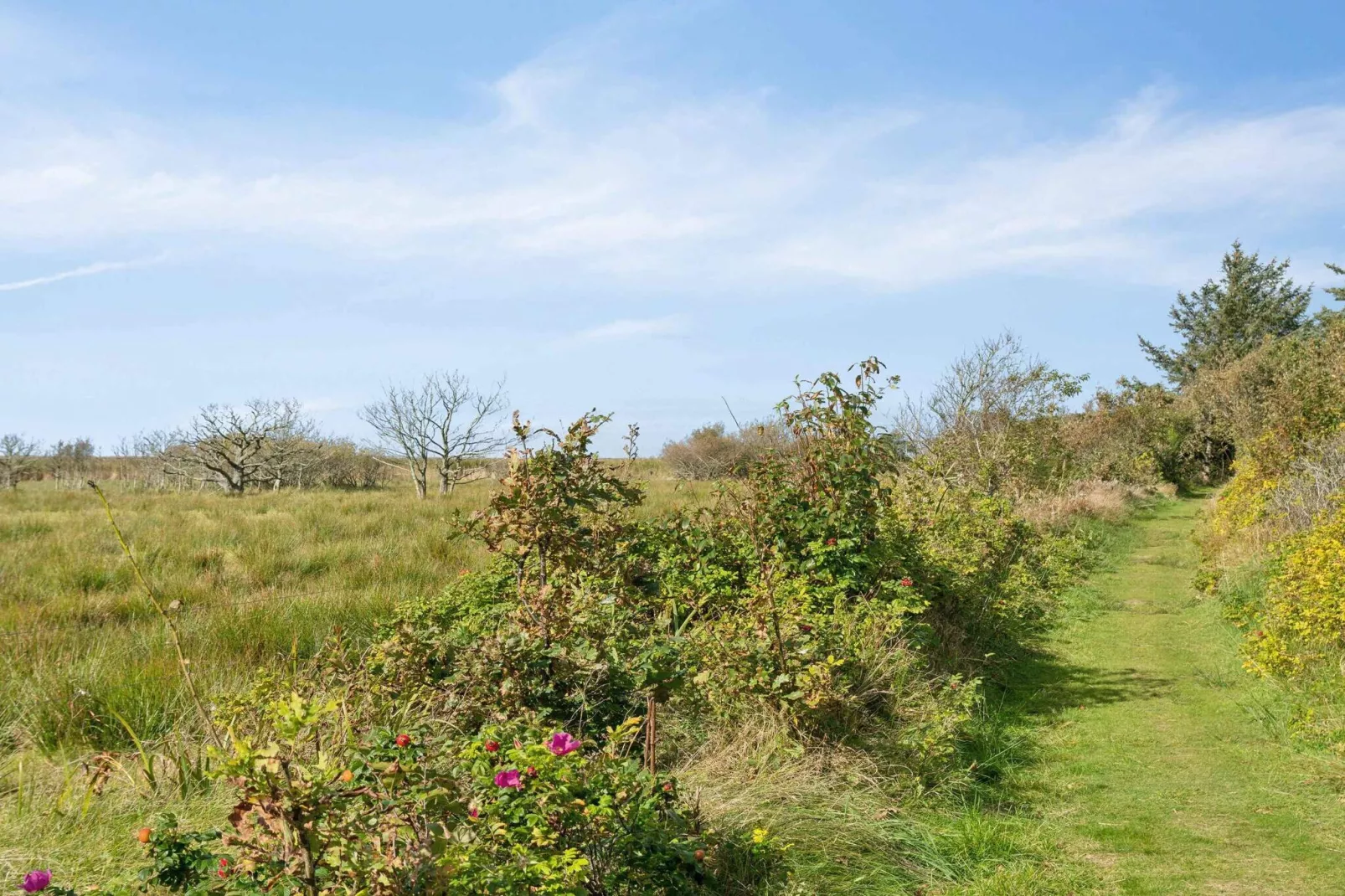 5 star holiday home in Skjern-Outdoor