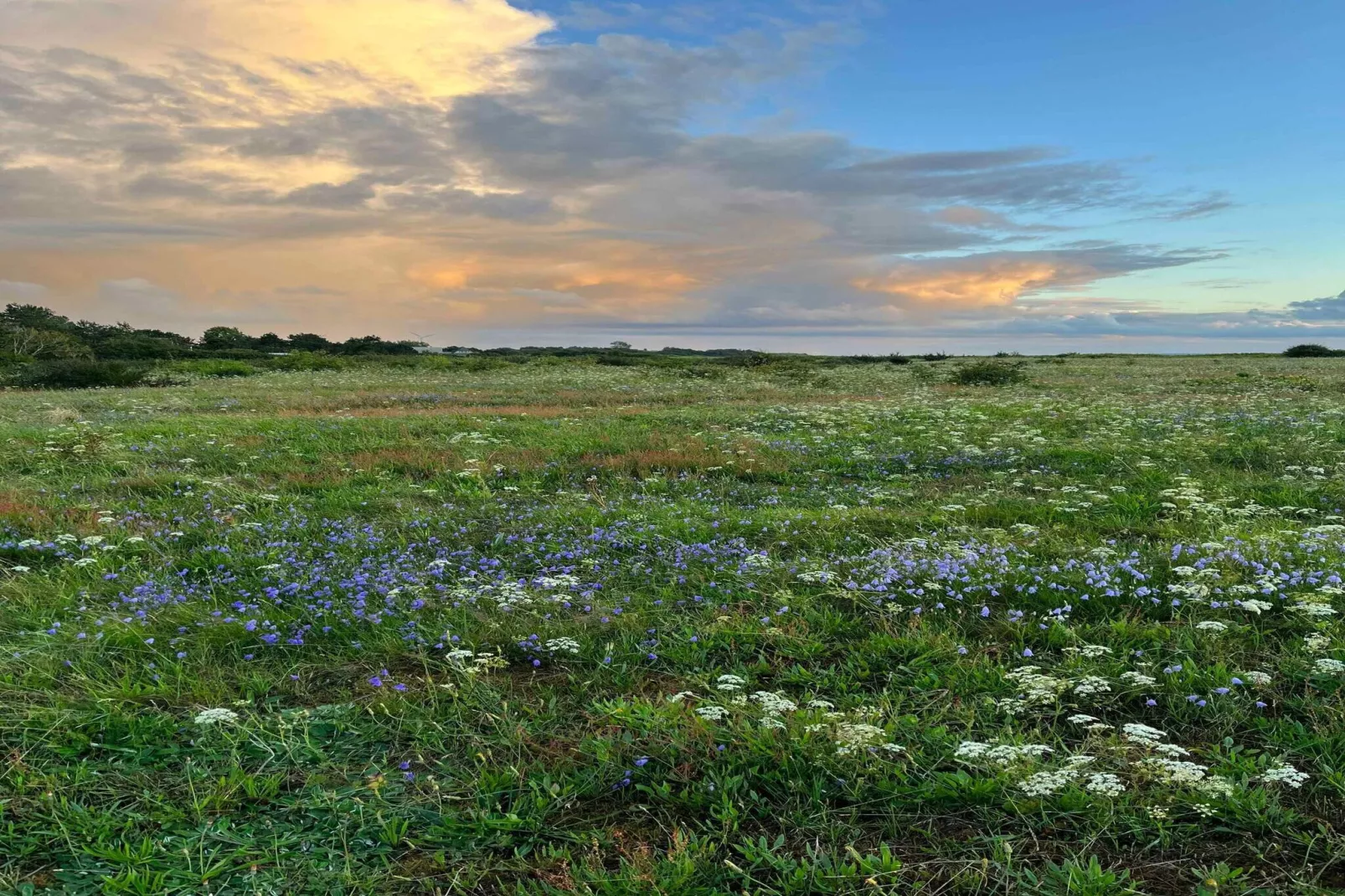5 star holiday home in Tranekær-Untagged