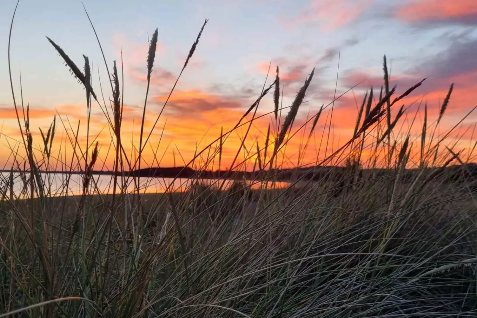 5 etoiles maison de vacances a Højby-Vue sur l'eau