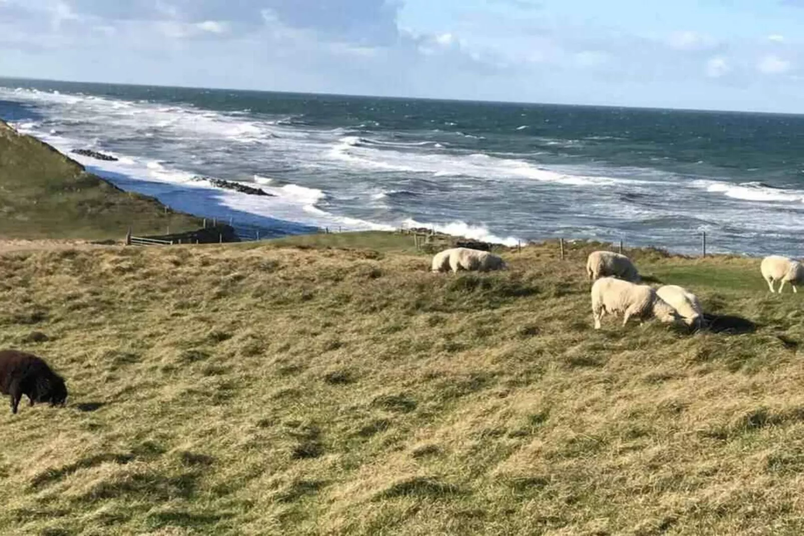 5 Sterne Ferienhaus in Vejby-Im Freien