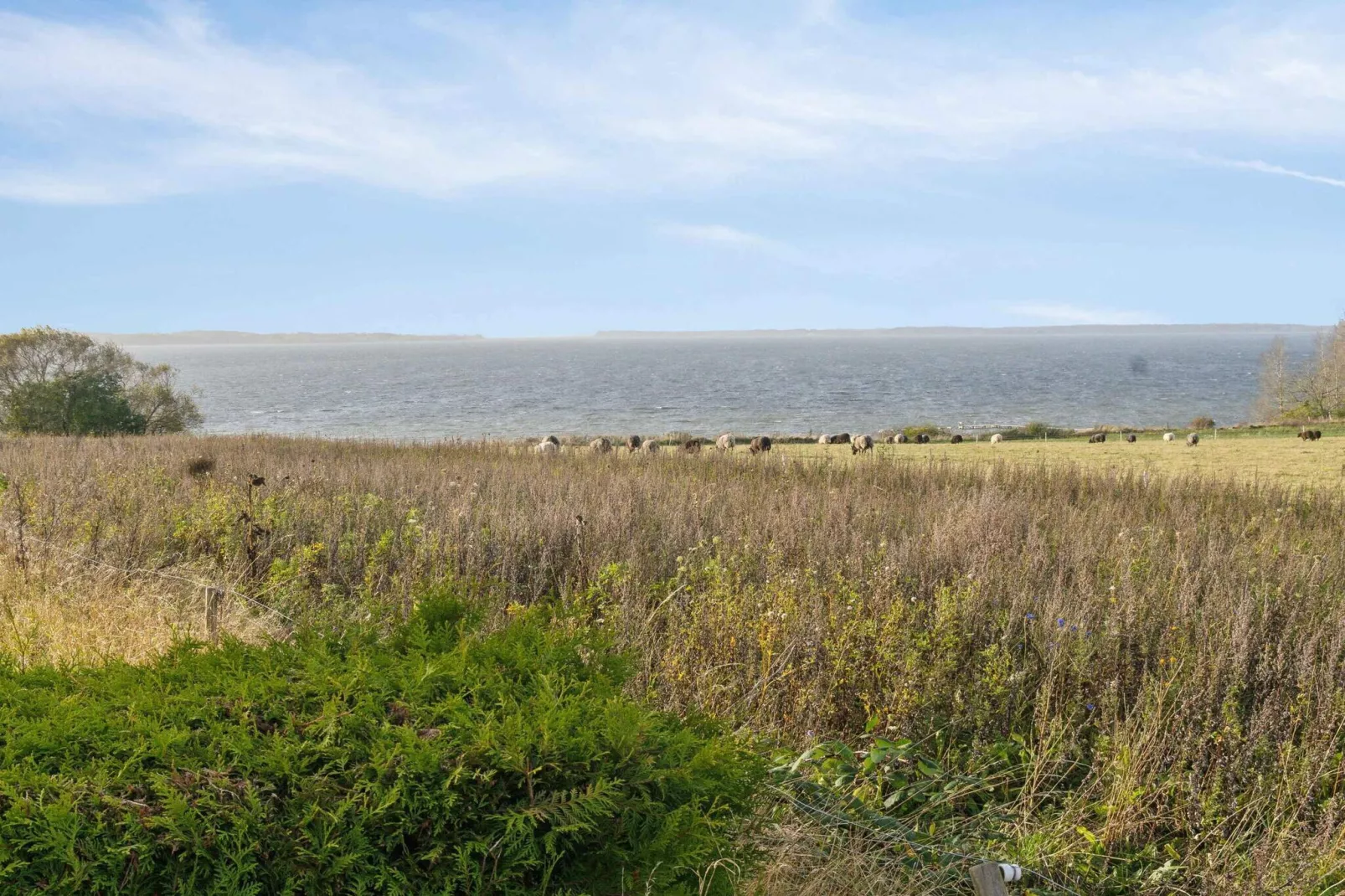 5 etoiles maison de vacances a Ølsted-Extérieur