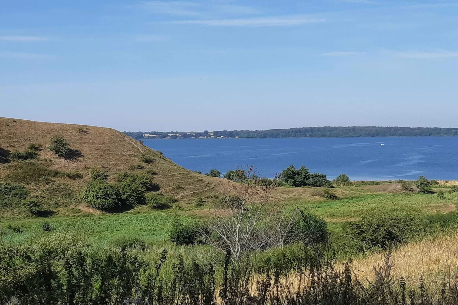 5 star holiday home in Kirke Hyllinge-Outdoor