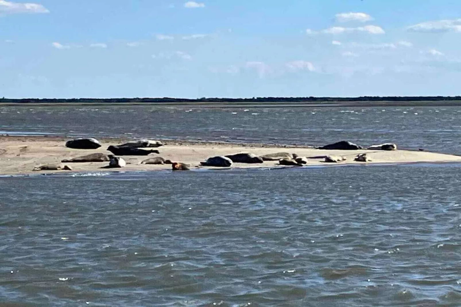 5 Sterne Ferienhaus in Fanø