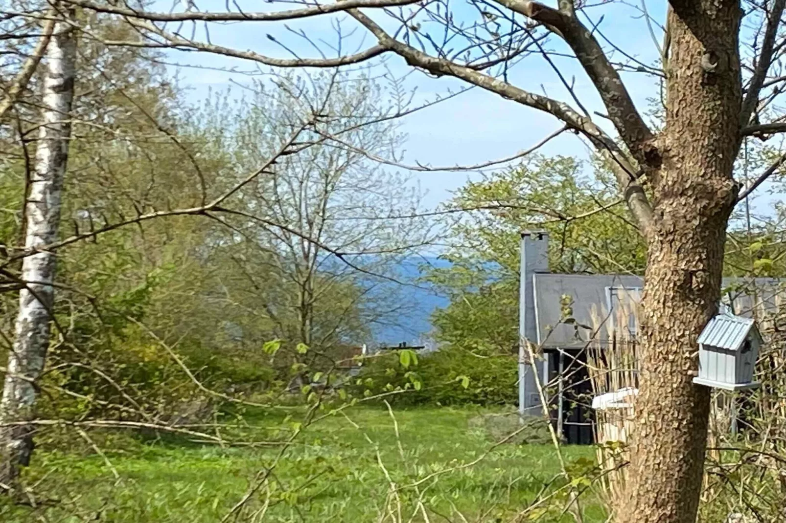 5 Sterne Ferienhaus in Fårevejle-Im Freien