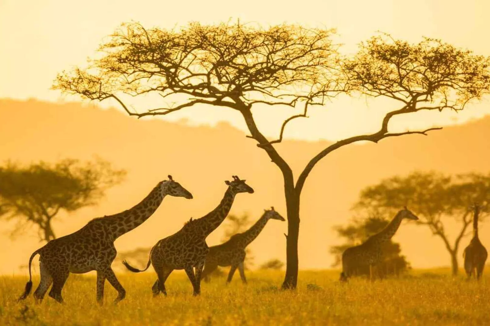 5 Sterne Ferienhaus in Nakskov-Im Freien