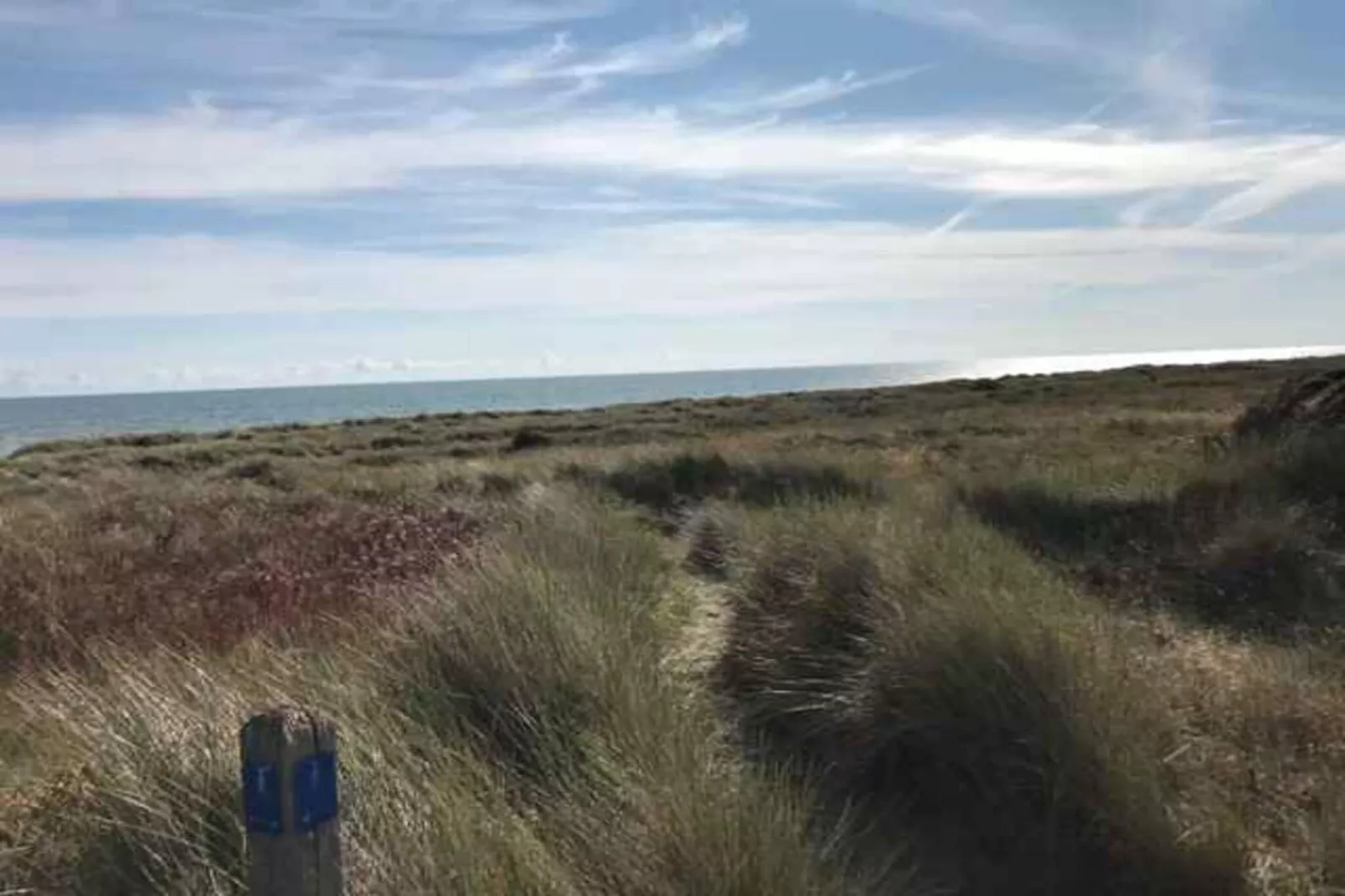 5 Sterne Ferienhaus in Sæby-Im Freien