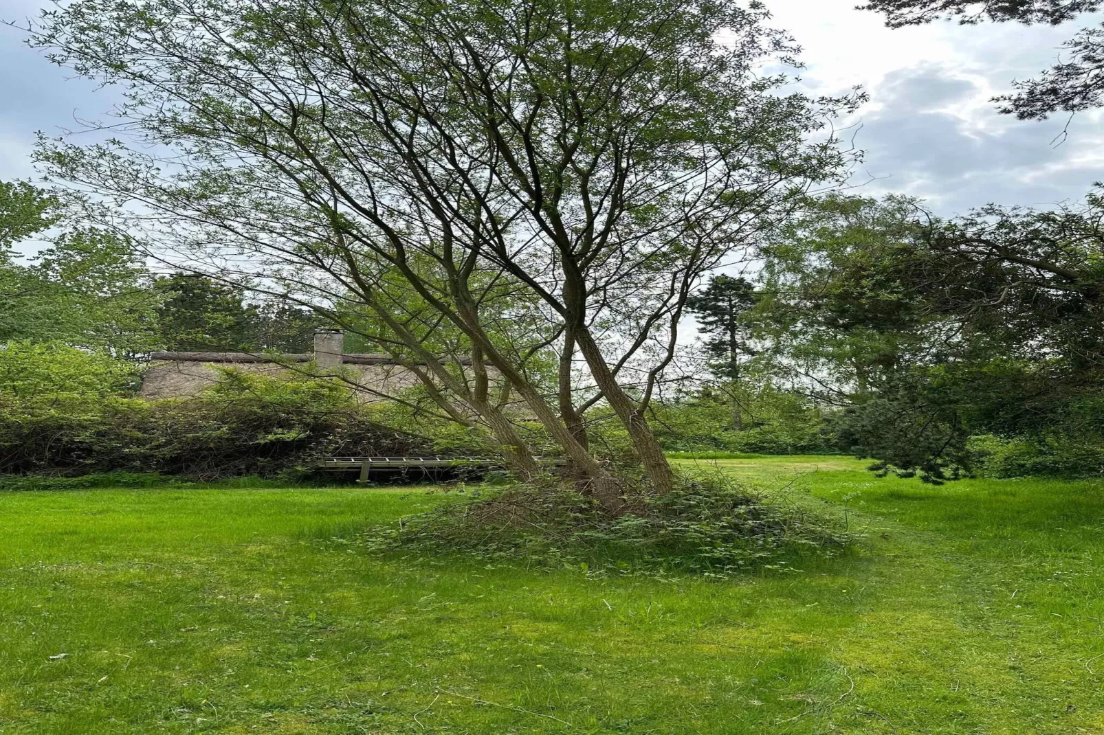 5 star holiday home in Knebel-Outdoor