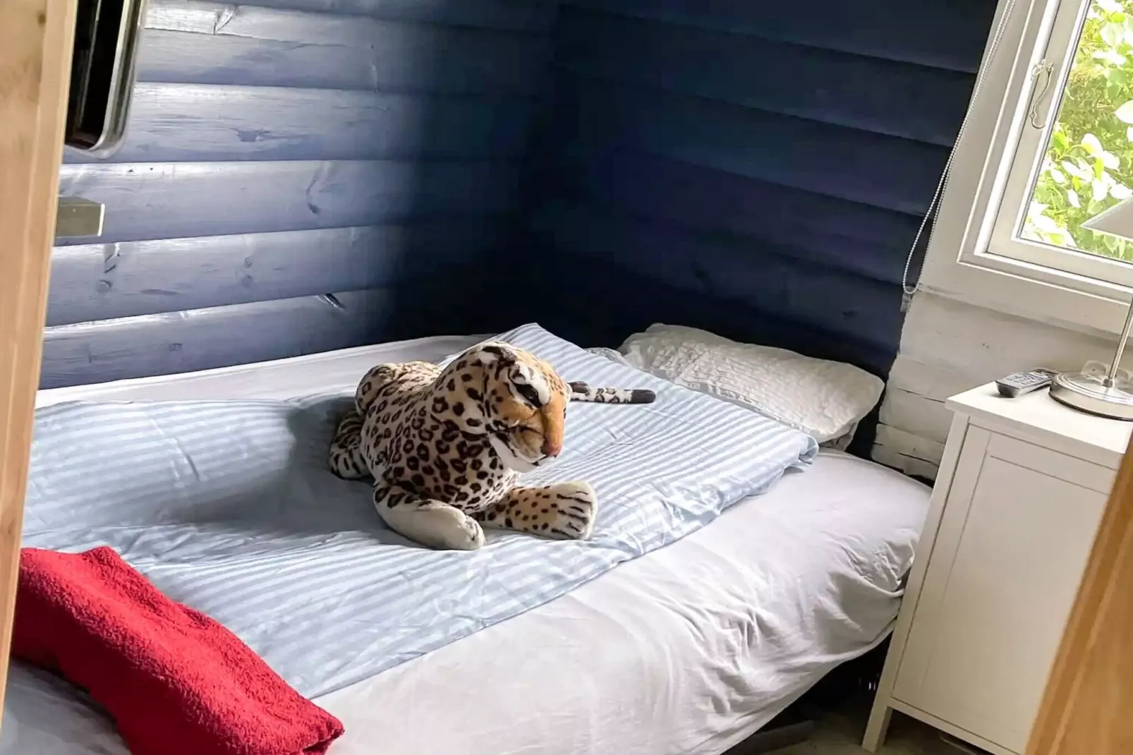 5 Sterne Ferienhaus in Slagelse-Innenbereich