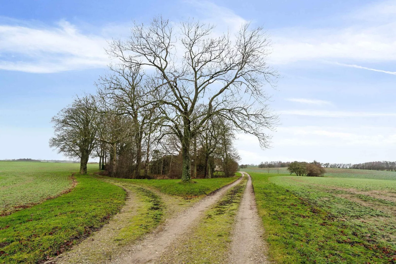 5 star holiday home in Holbæk-Untagged