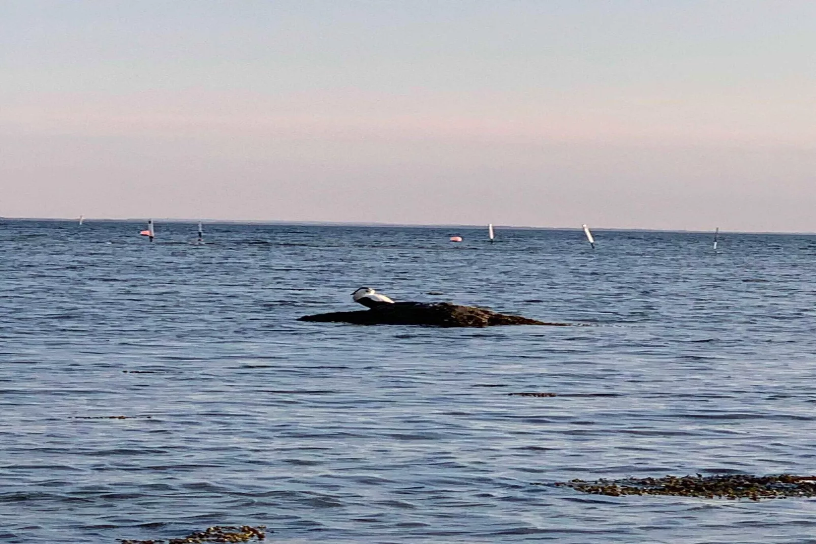 6 person holiday home in Jægerspris-Water view