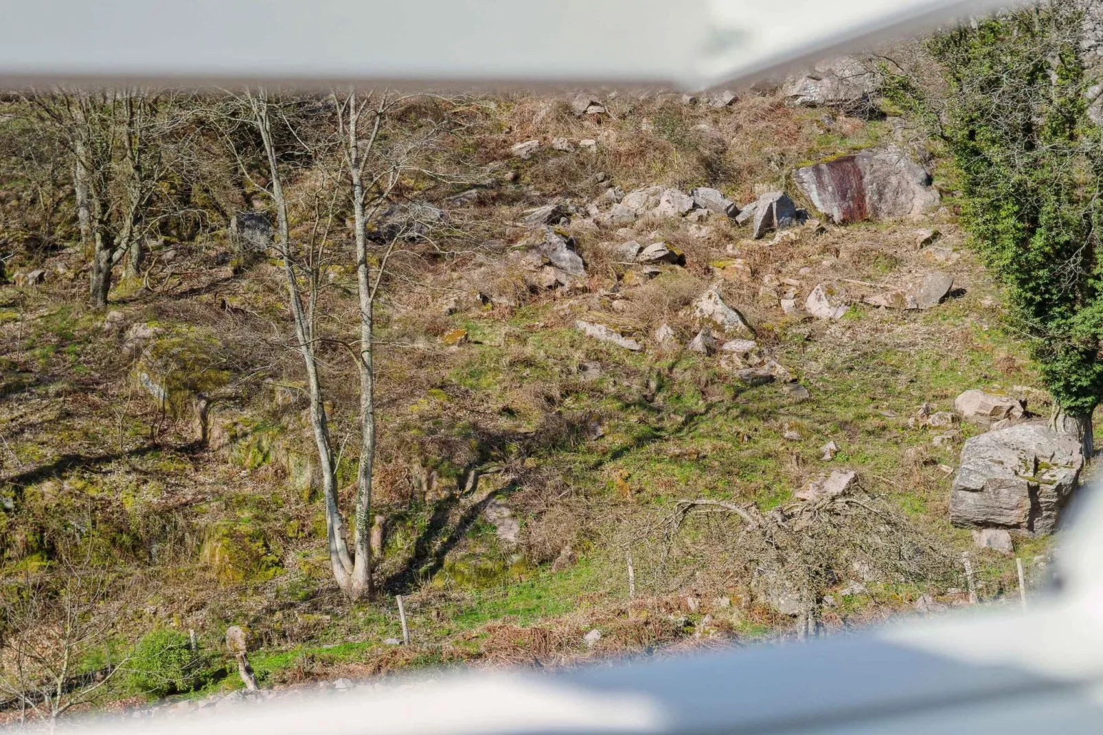 5 star holiday home in Allinge-Outdoor