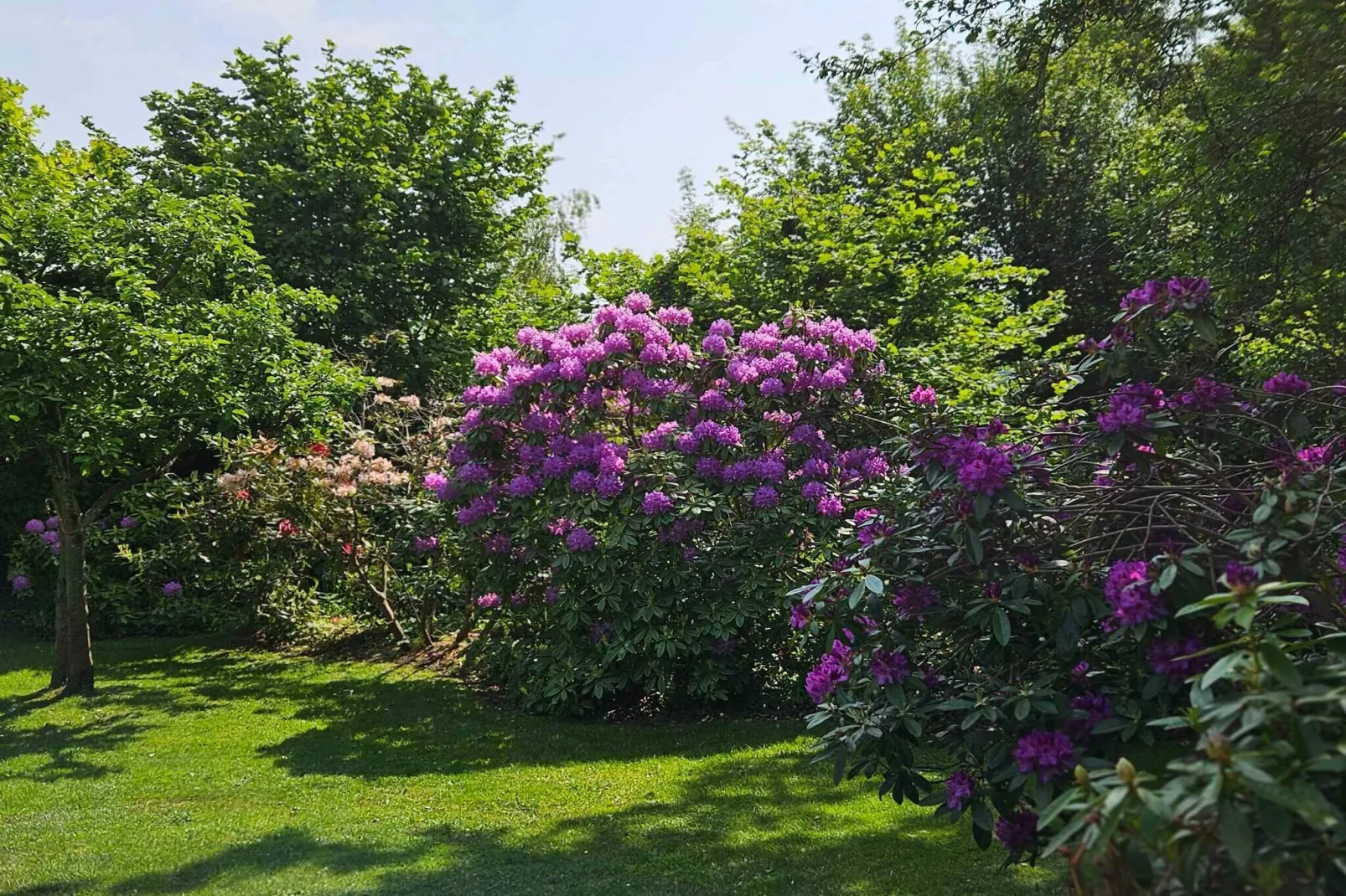 4 etoiles maison de vacances a Asnæs-Extérieur