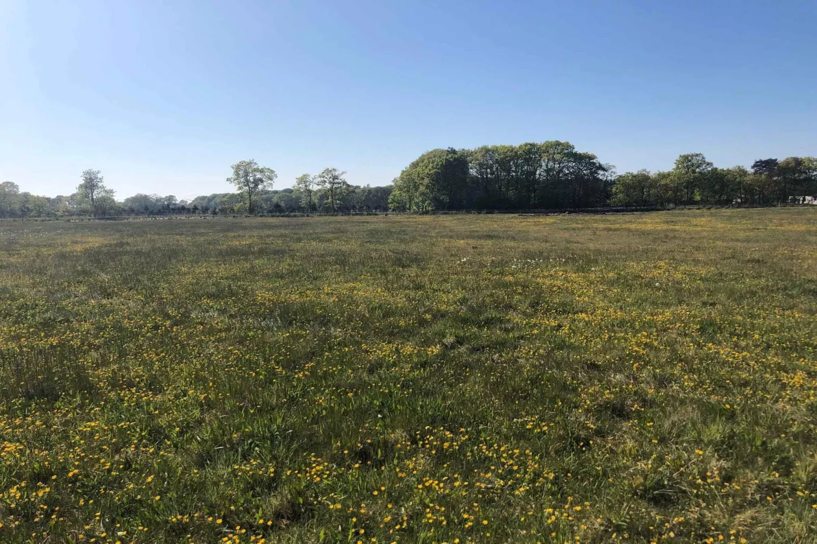 4 star holiday home in Hadsund-Outdoor