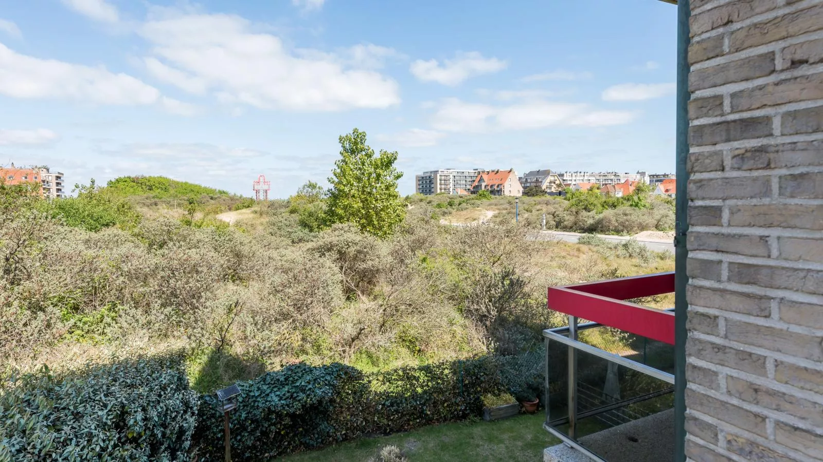 Aubépine premier-View in summer