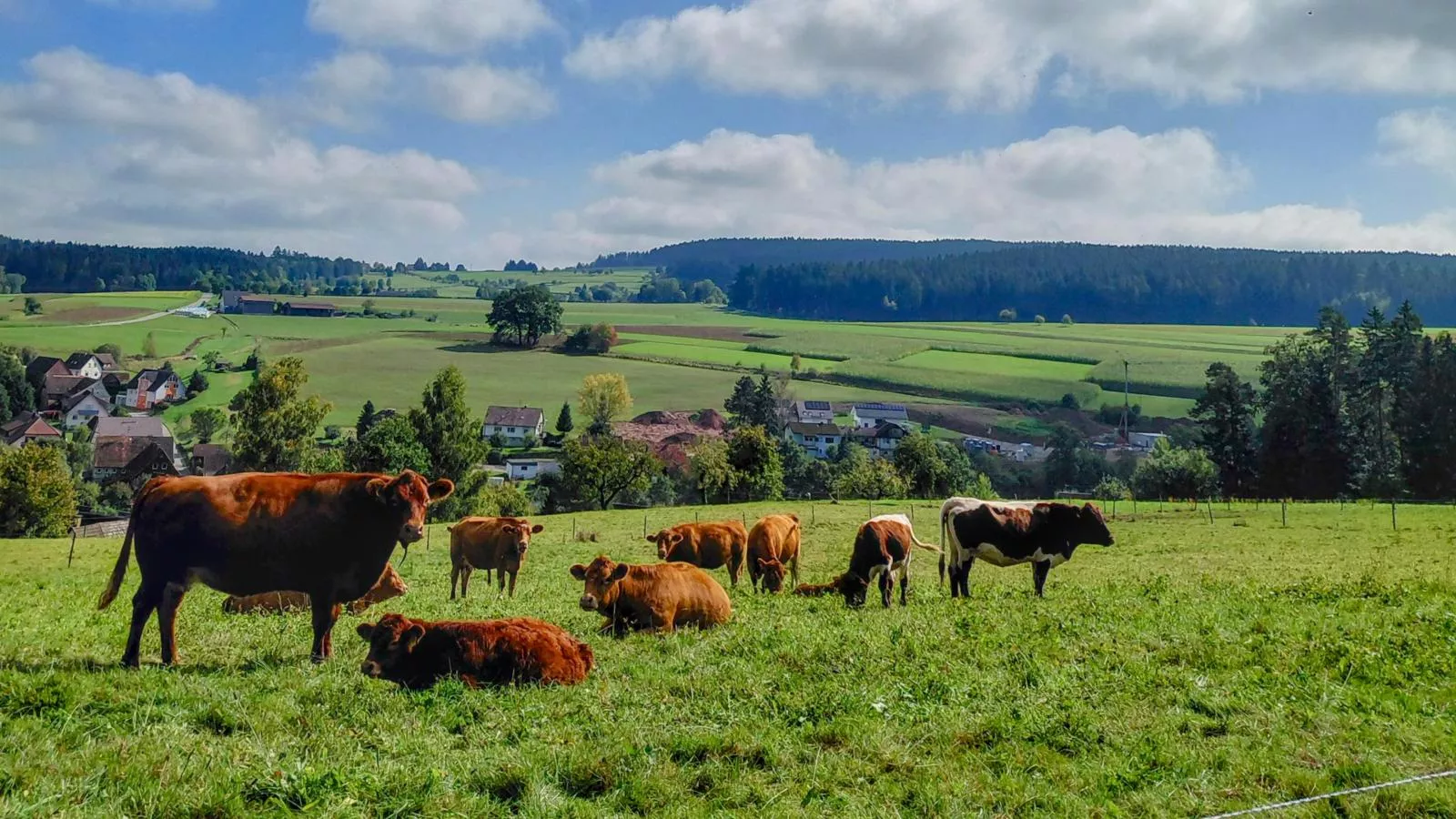 Waldacher Hof-Facilities