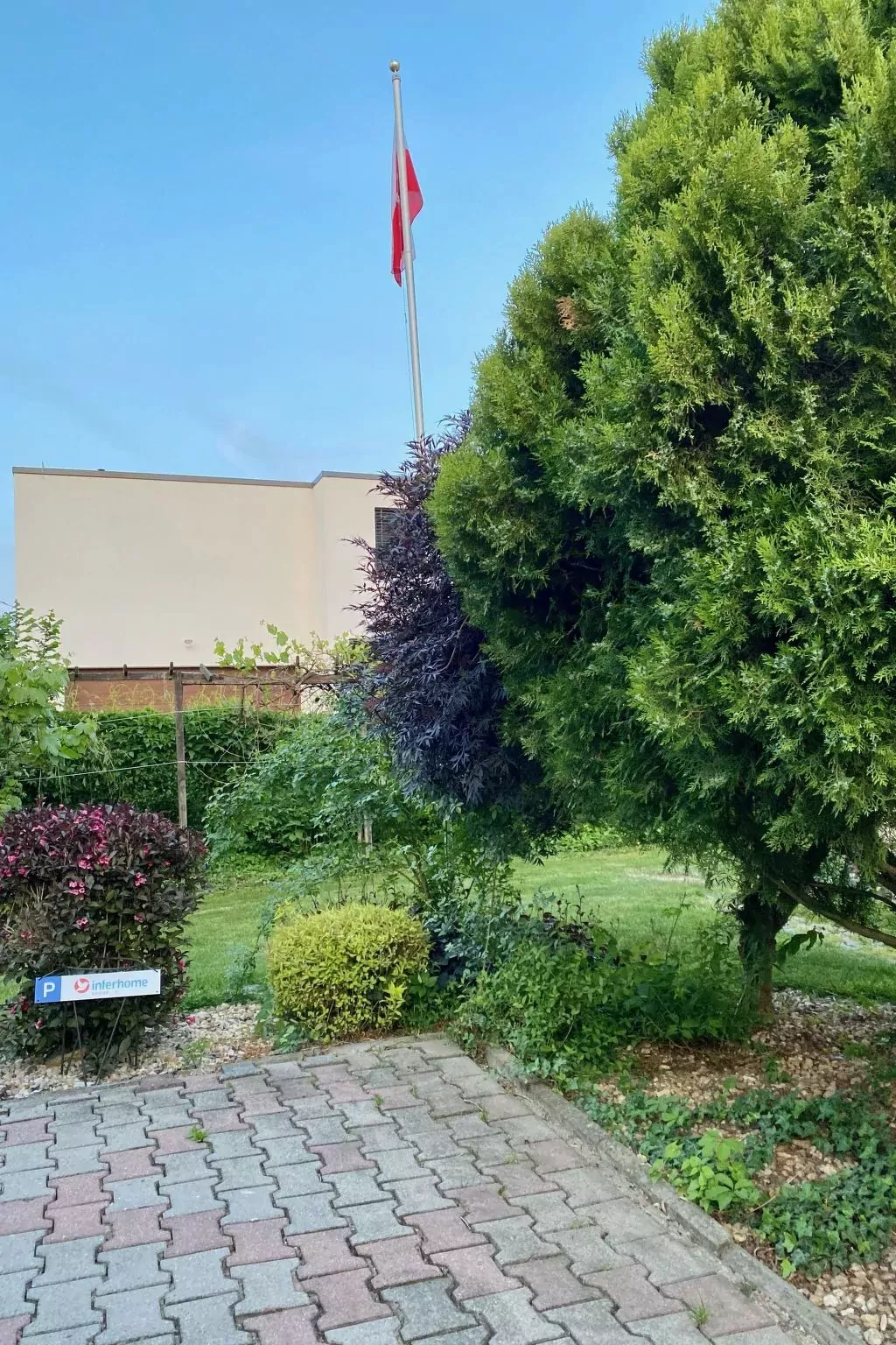 W Starym Sadzie-Dehors