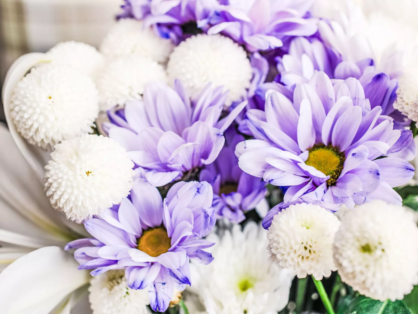 Bunloit Farmhouse-Dedans