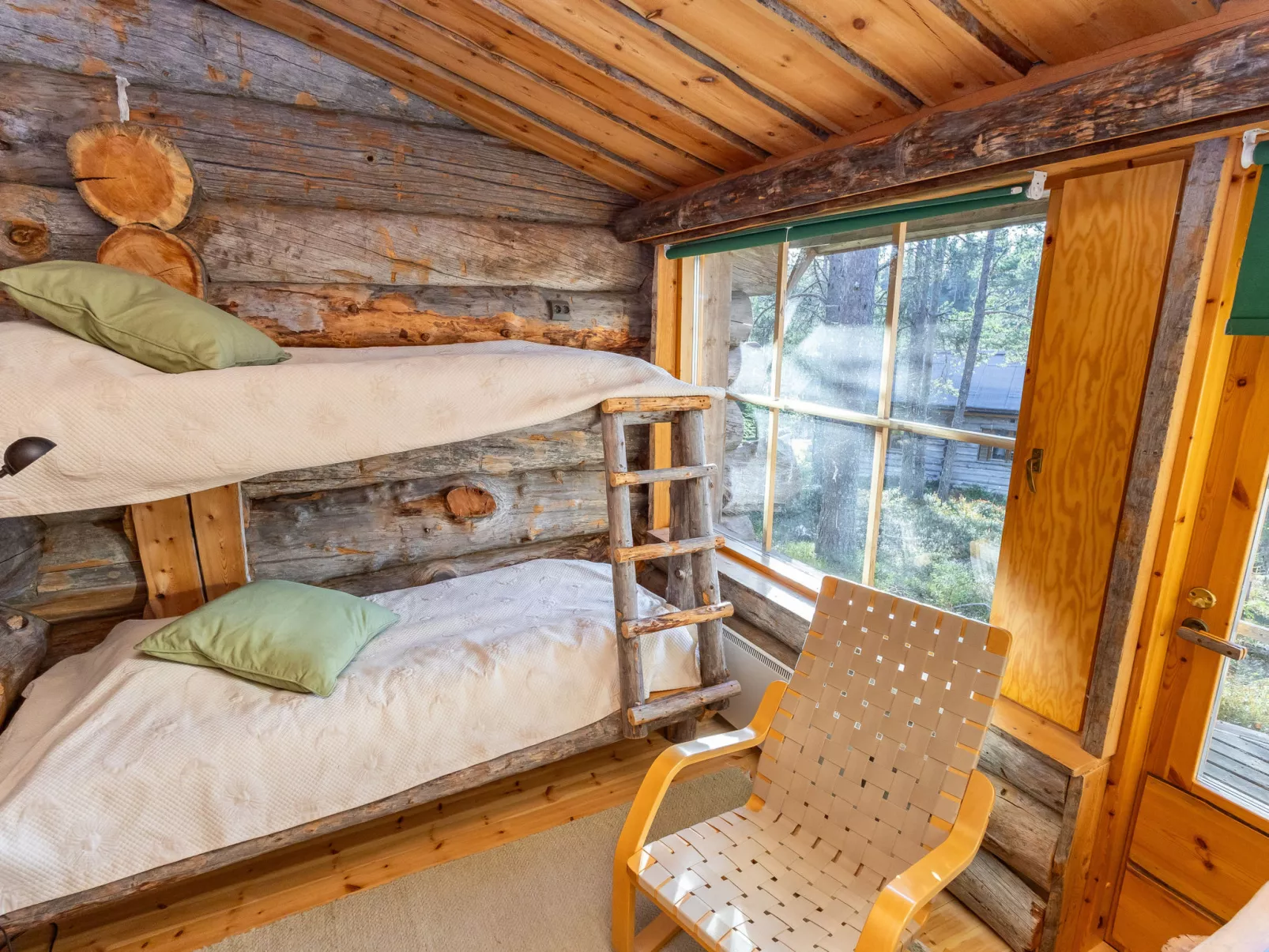 Rukan kelohuvila-Dedans