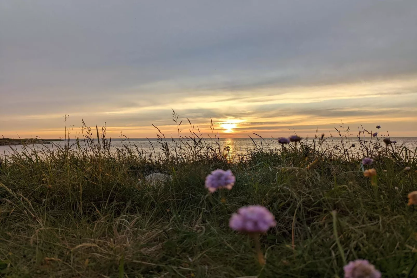 Cottage charmant avec fjord vue-By Traum-Vue sur l'eau