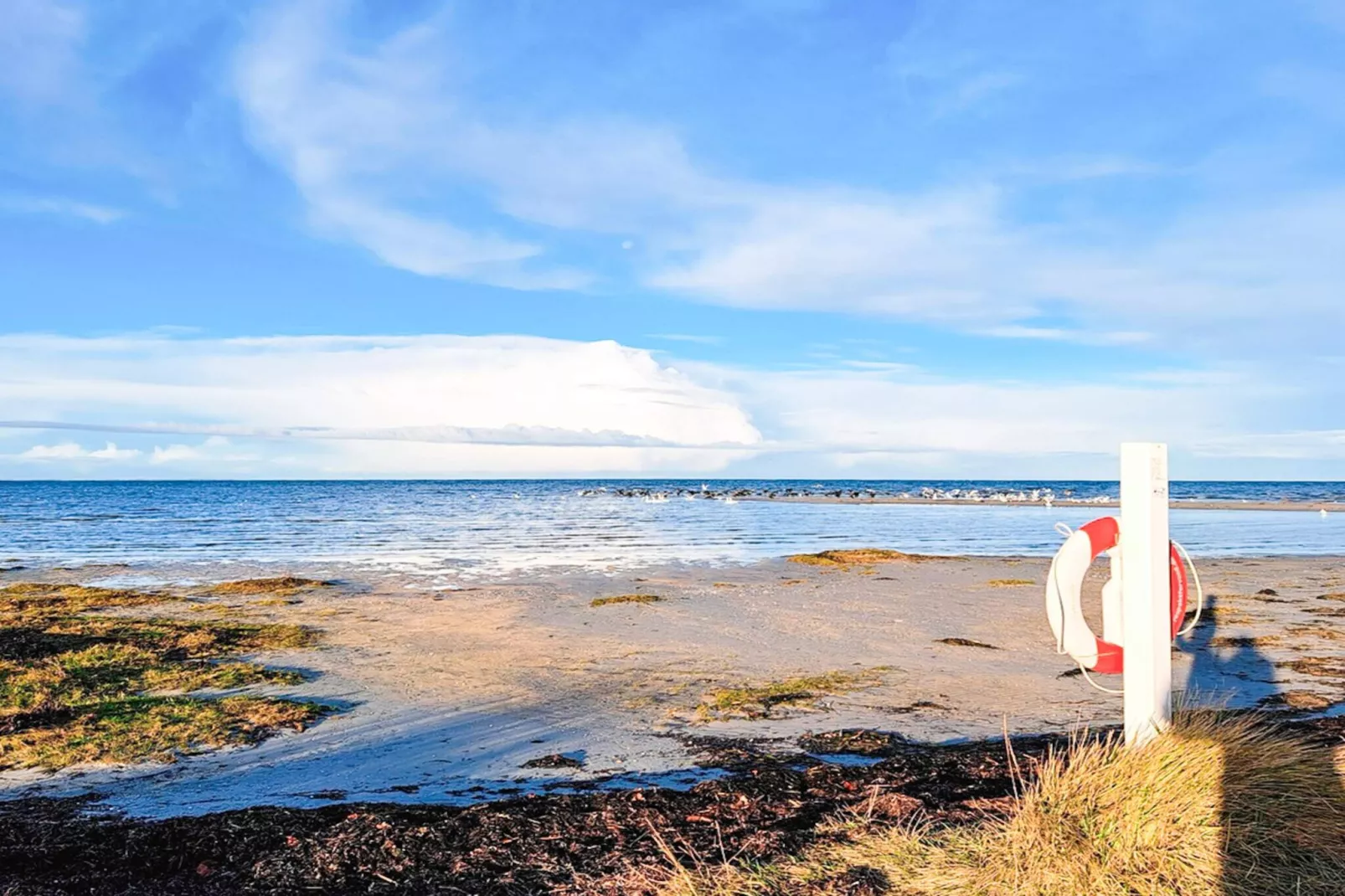 Maison de vacances pour 6 a Glesborg-Vue sur l'eau