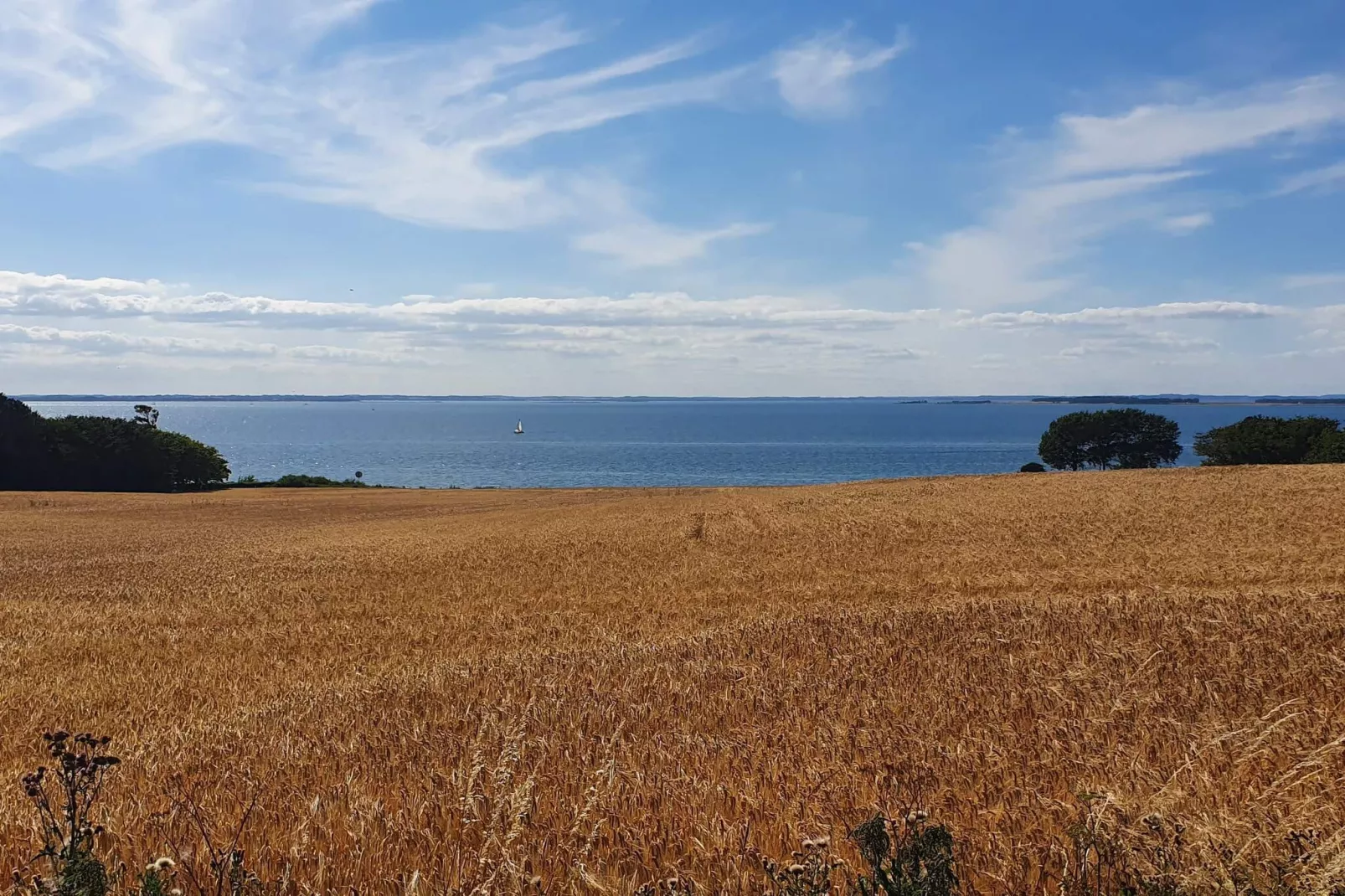 4 Personen Ferienhaus in Assens-Wasserblick