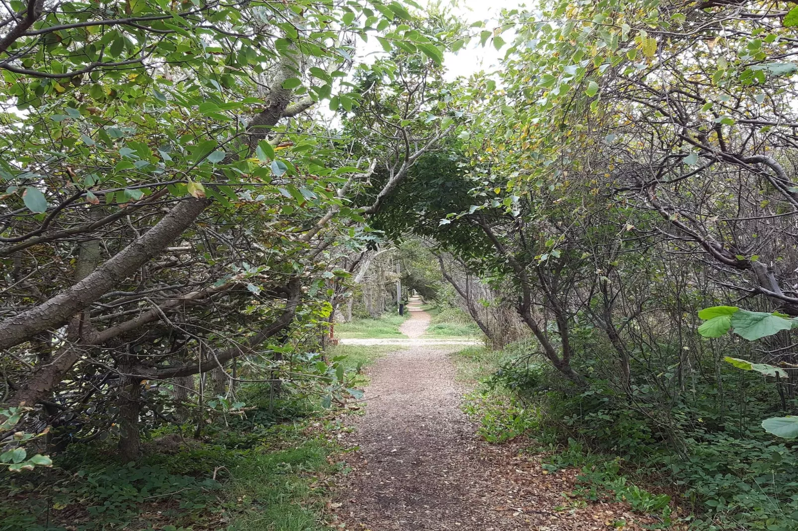 Rustic Retreat in Klitmoller-By Traum-Water view