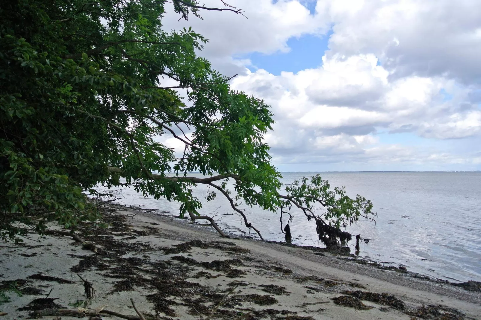 Panoramic Cottage Retreat-By Traum-Water view