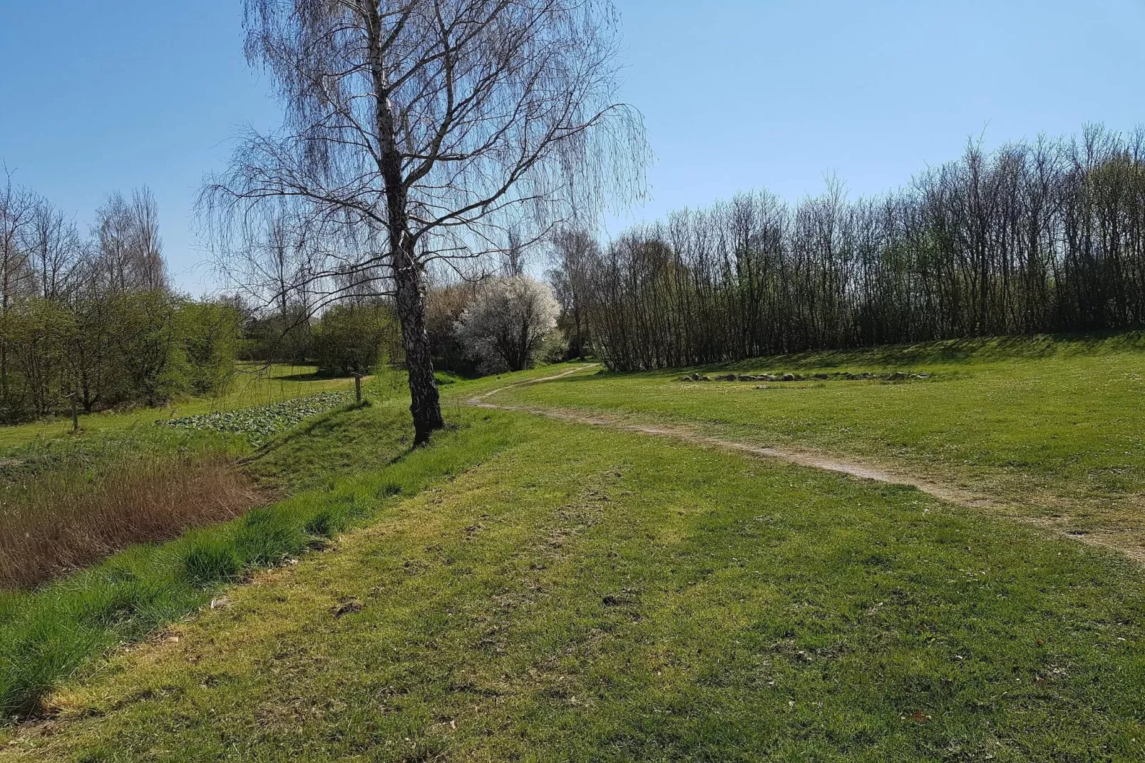 5 person holiday home in Holeby-Untagged