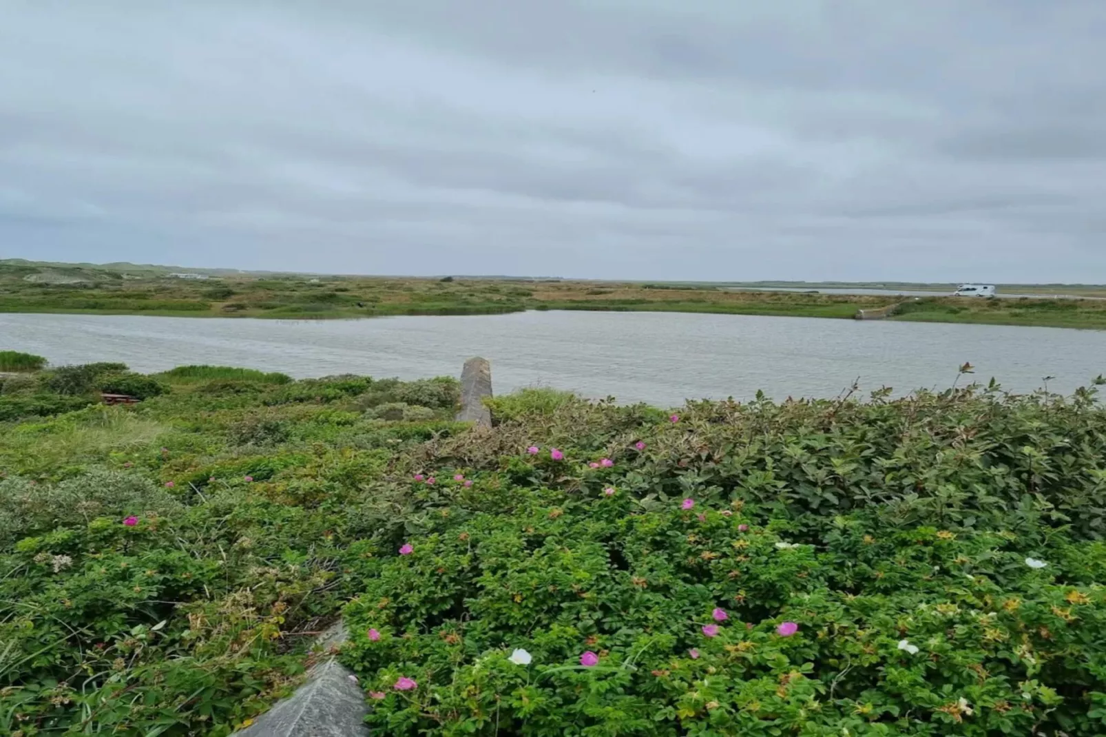 Kustliche Ruhe in Nymindegab-By Traum-Wasserblick