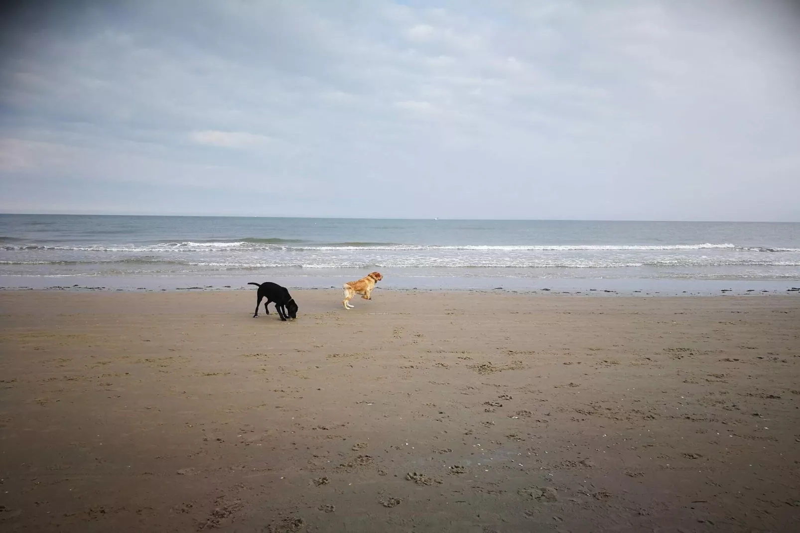Maison de vacances pour 6 a Strandby-Vue sur l'eau