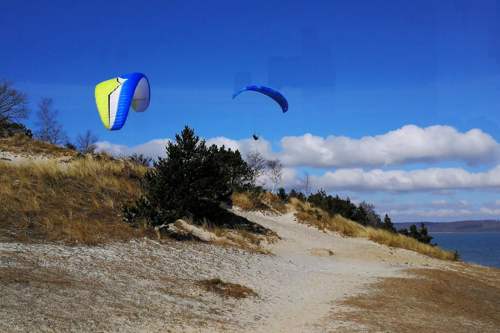 Seaside Serenity at Hvidbjerg-By Traum-Water view
