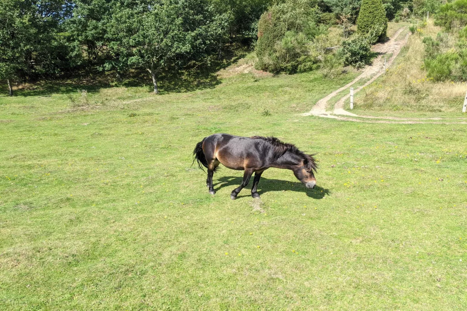 Maison de vacances pour 6 a Ebeltoft-Non tagué