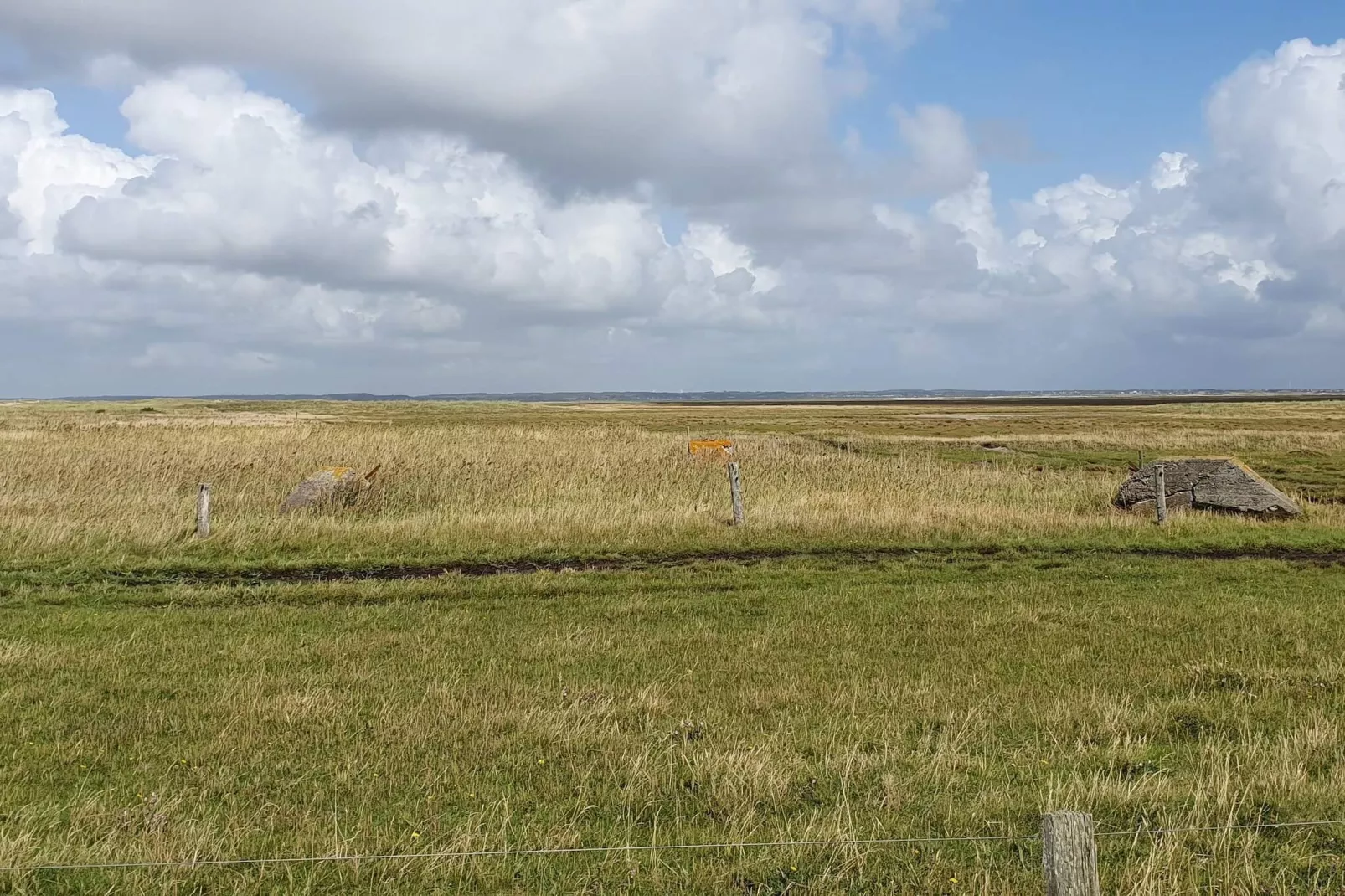 4 person holiday home in Oksbøl-Untagged