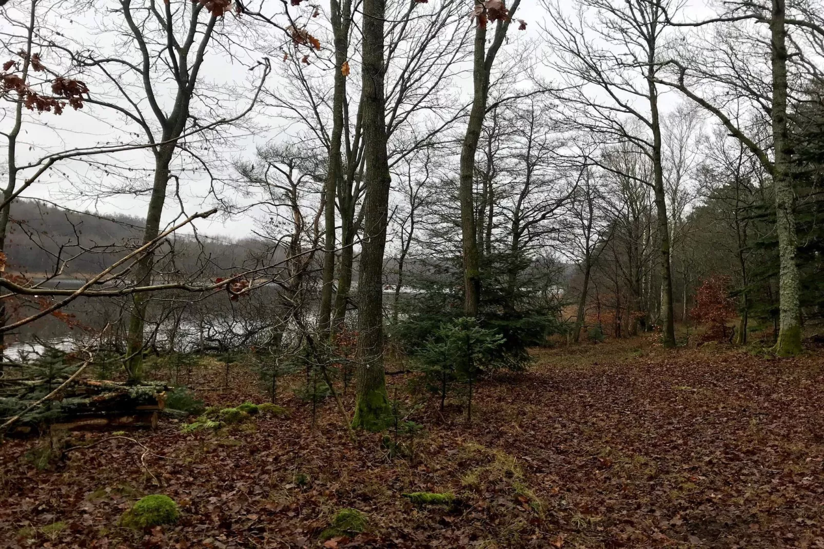 6 person holiday home in Ebeltoft-Water view