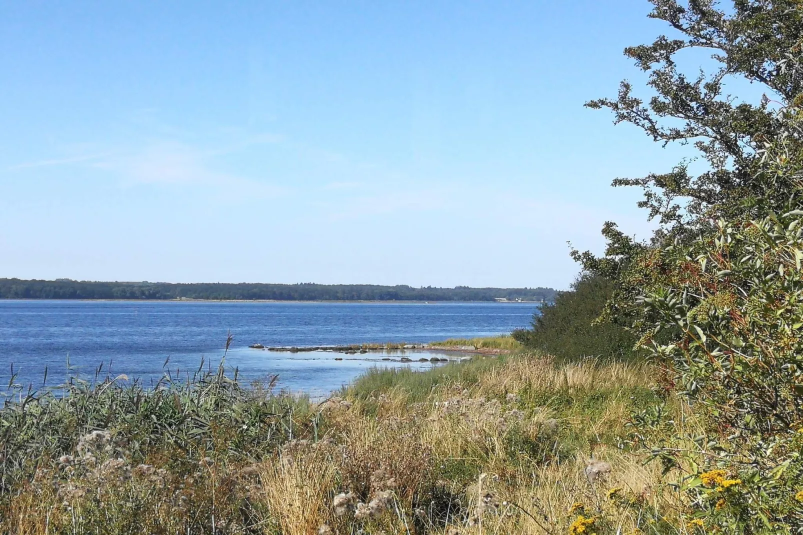 5 person holiday home in Bogø By-Water view