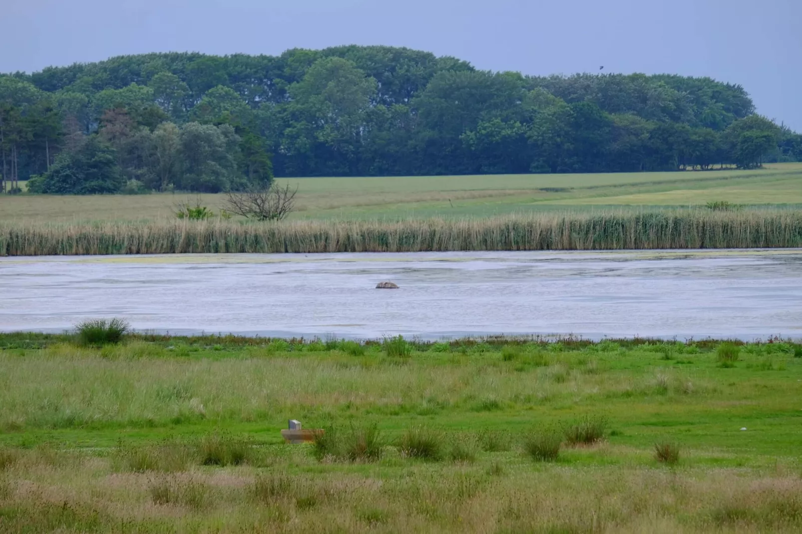 12 person holiday home in Væggerløse-By Traum-Water view