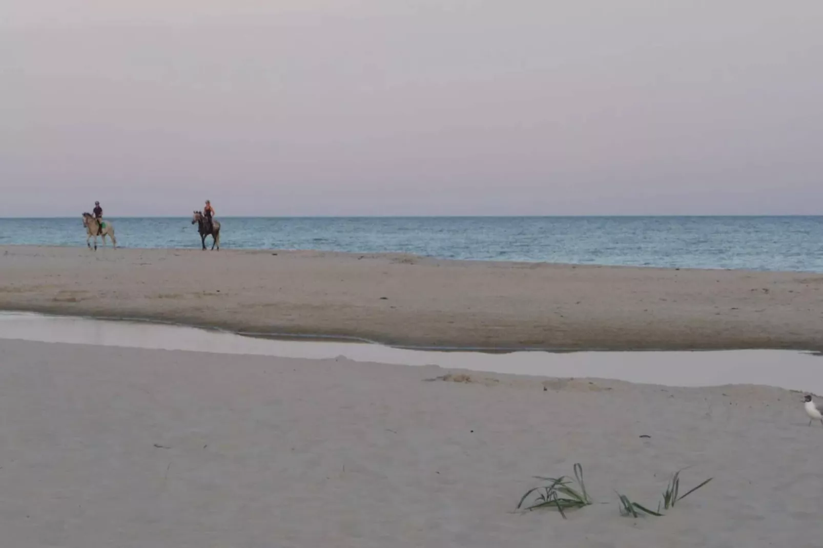 6 person holiday home in Löderup-By Traum-Water view