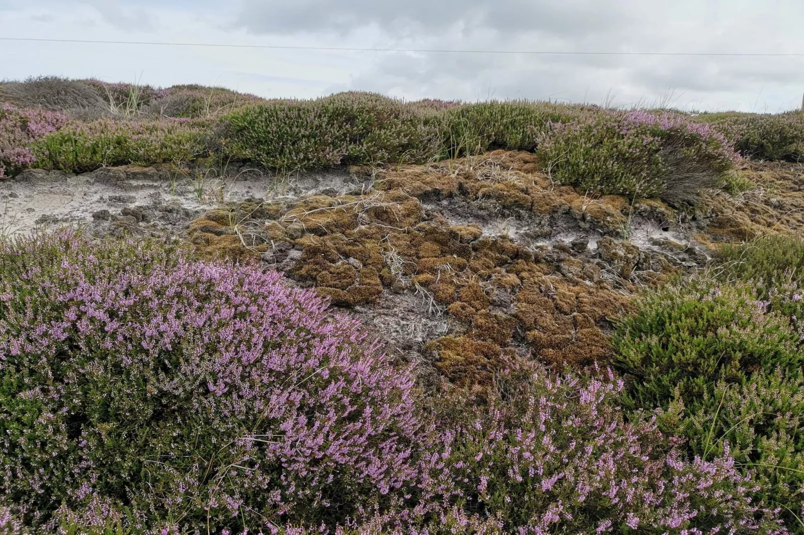 8 person holiday home in Nørre Nebel-Untagged