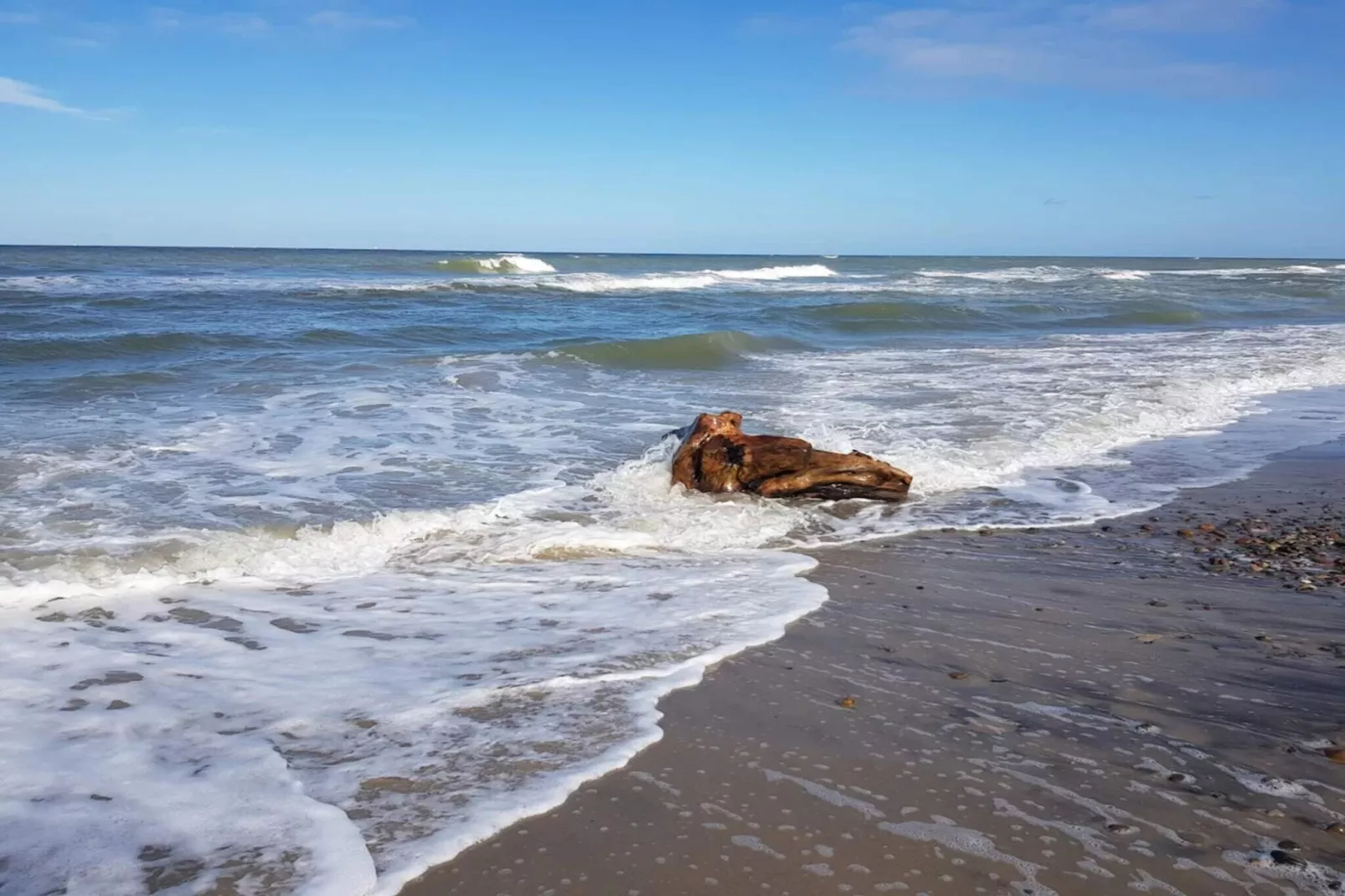 Maison de vacances pour 8 a Skagen-Vue sur l'eau