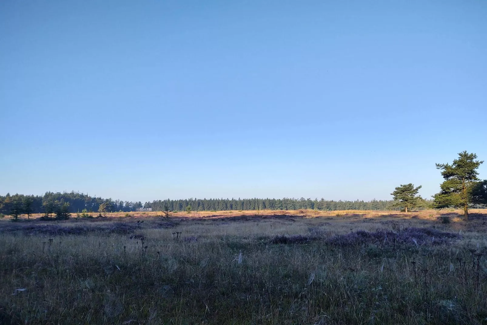 4 Personen Ferienhaus in Hovborg-By Traum-Nicht zugeordnet