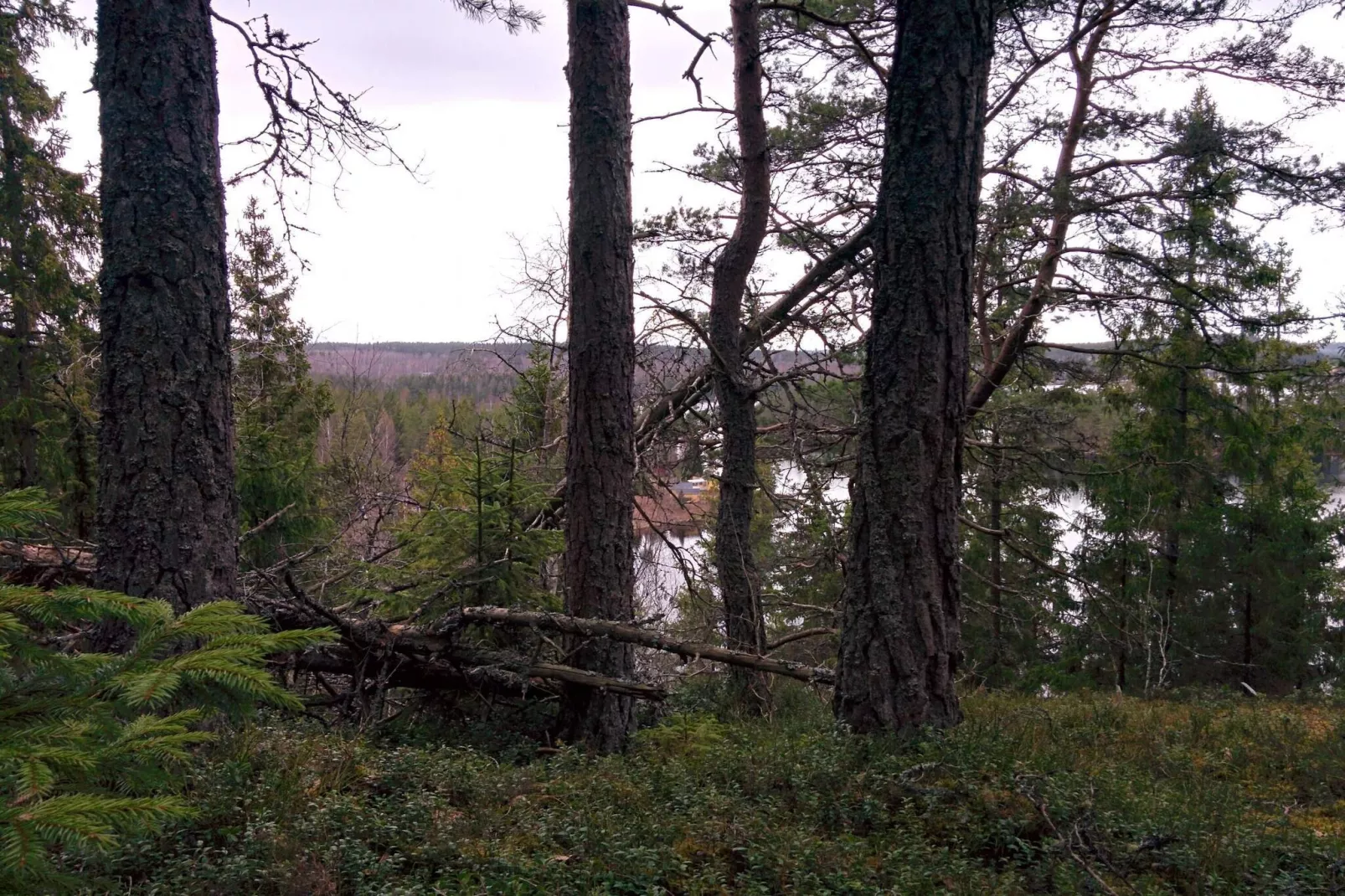 7 Personen Ferienhaus in VIRSERUM-By Traum-Nicht zugeordnet