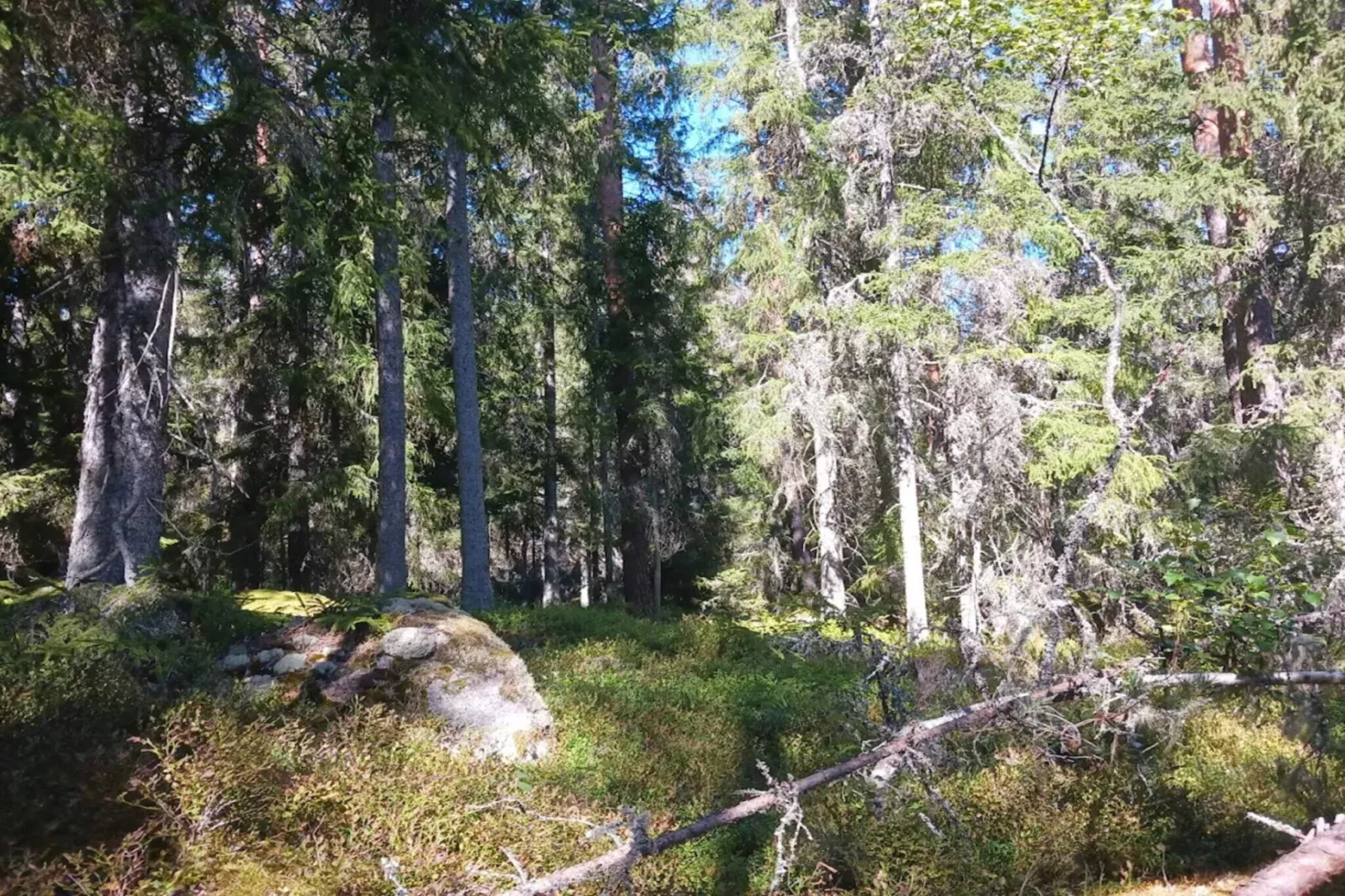 7 Personen Ferienhaus in BRUZAHOLM-By Traum-Wasserblick