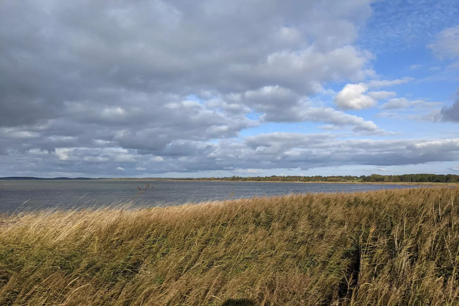 Maison de vacances pour 4 a Jægerspris-By Traum-Vue sur l'eau
