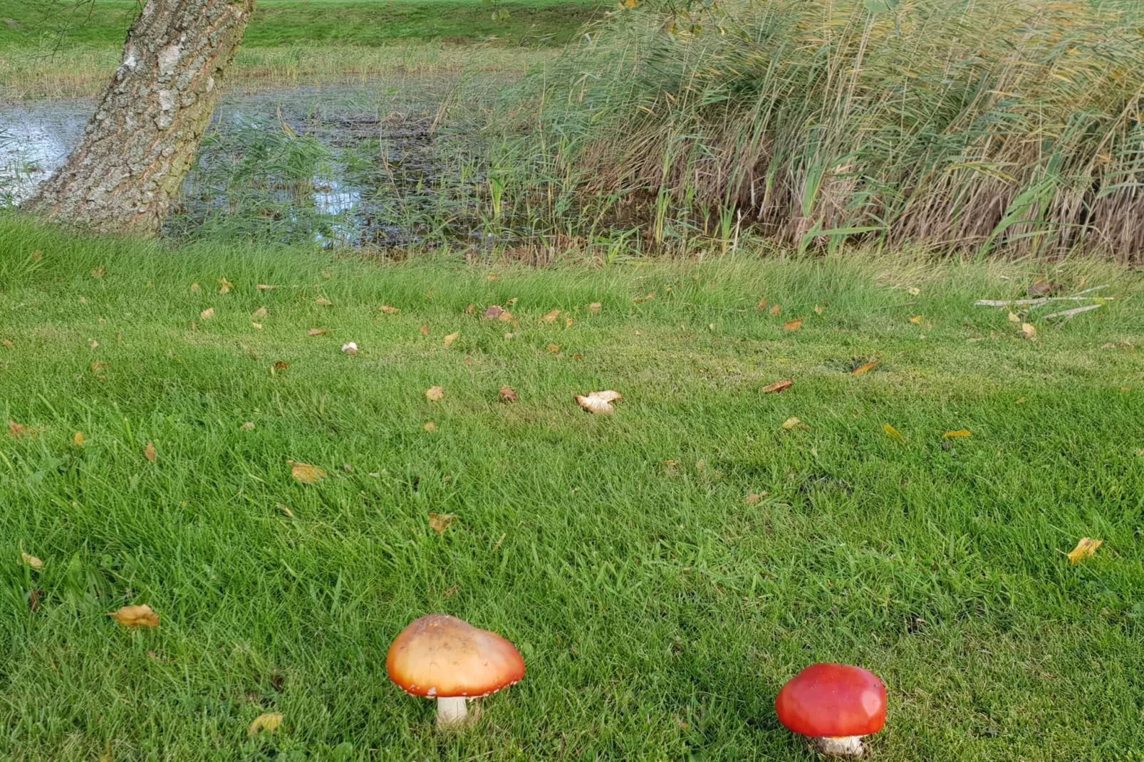 6 person holiday home in Ørsted-By Traum-Untagged