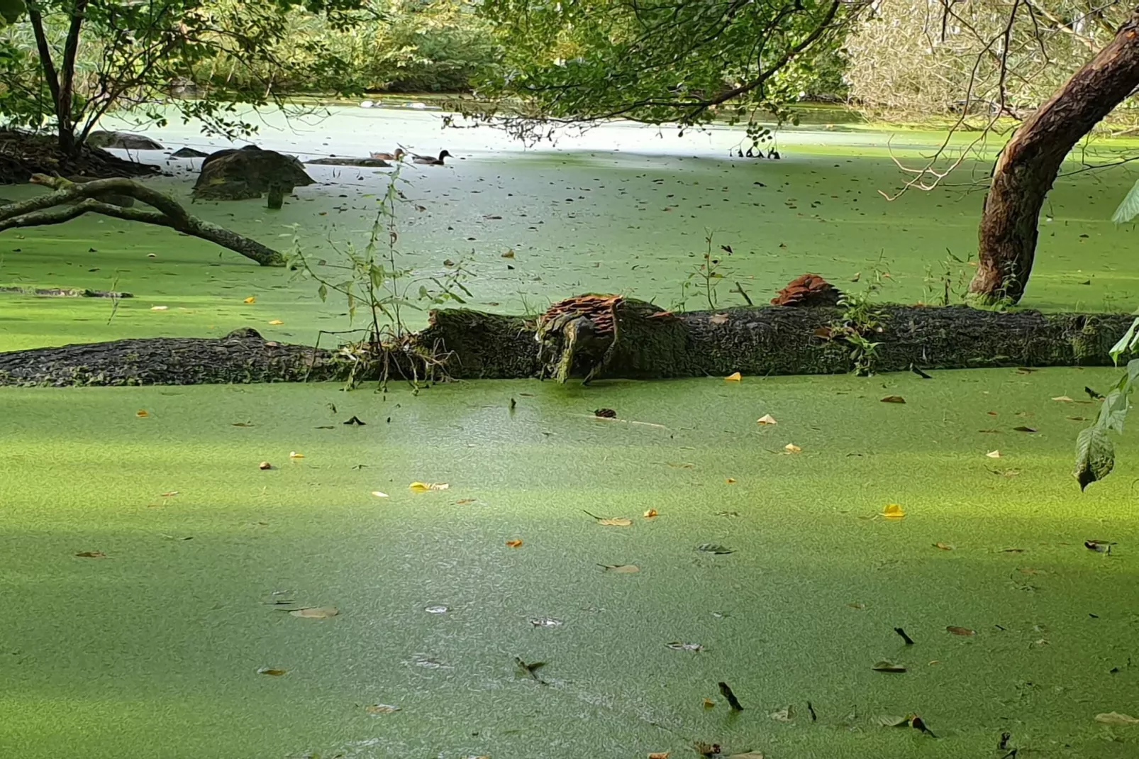 6 person holiday home in Hadsund-Water view