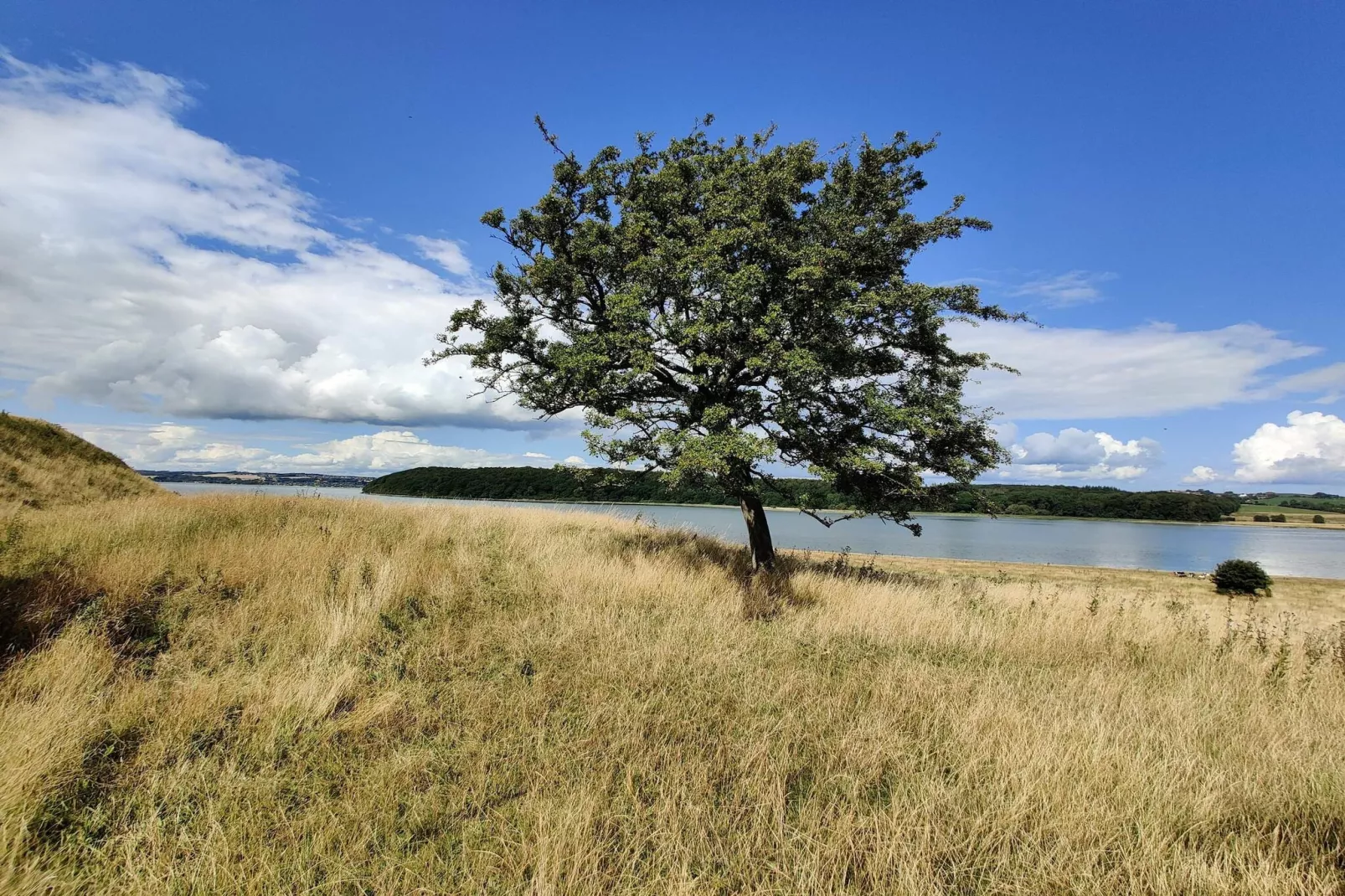 Maison de vacances pour 7 a Kolind-By Traum-Vue sur l'eau
