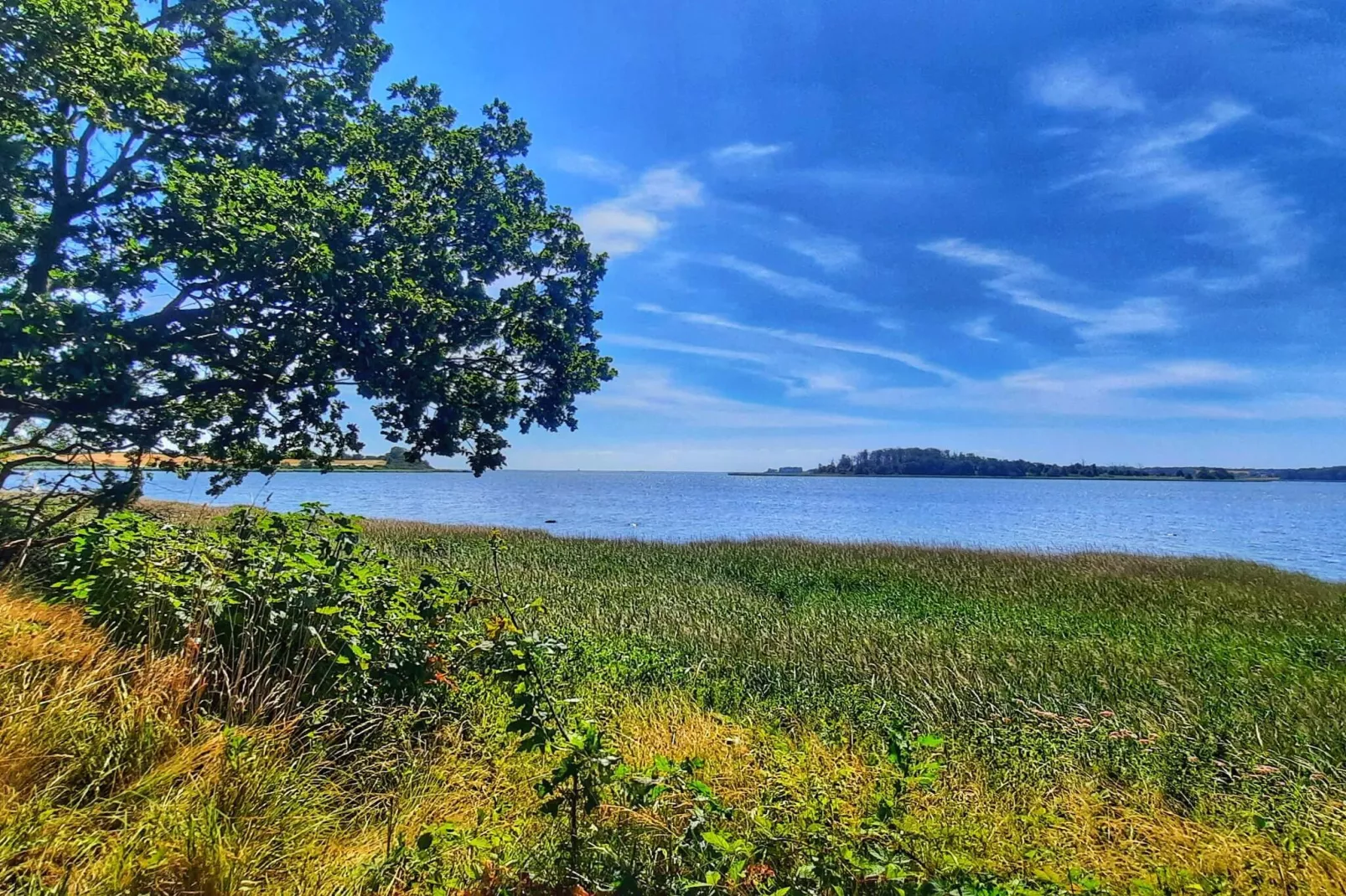 5 person holiday home in Rude-By Traum-Water view